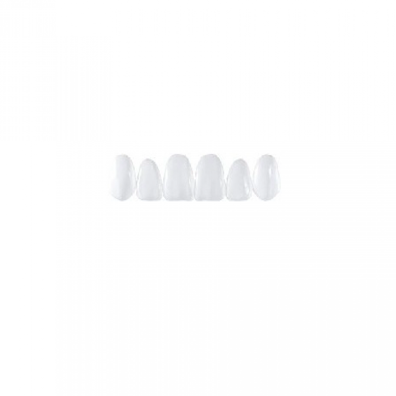 Componeer™ Refill Upper Jaw - Гарнитур виниров для верхней челюсти 6шт